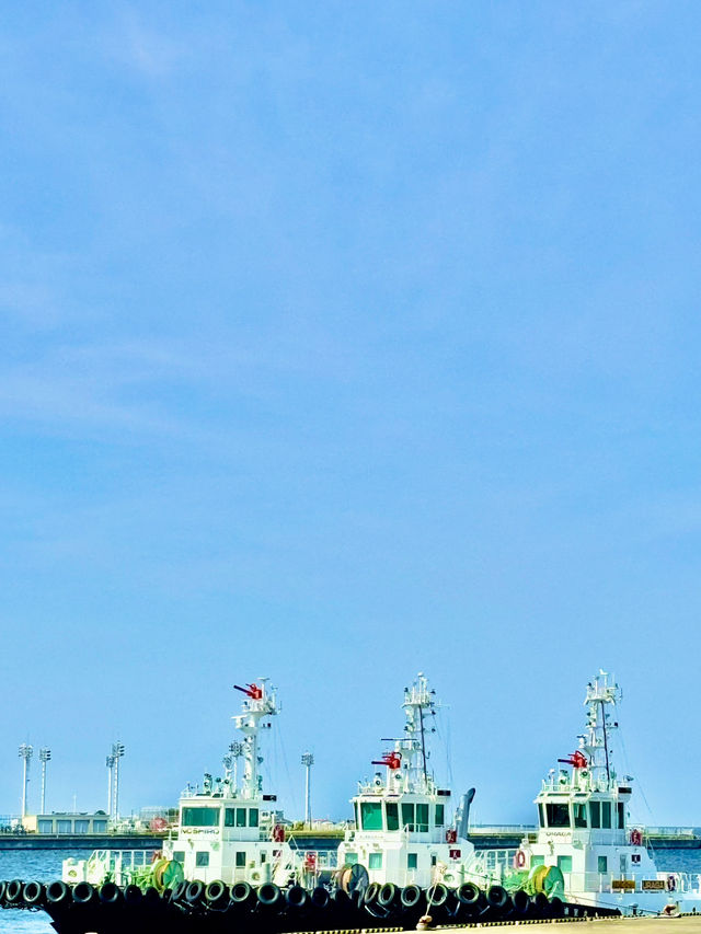 【Yokosuka Port Market いちご よこすかポートマーケット】