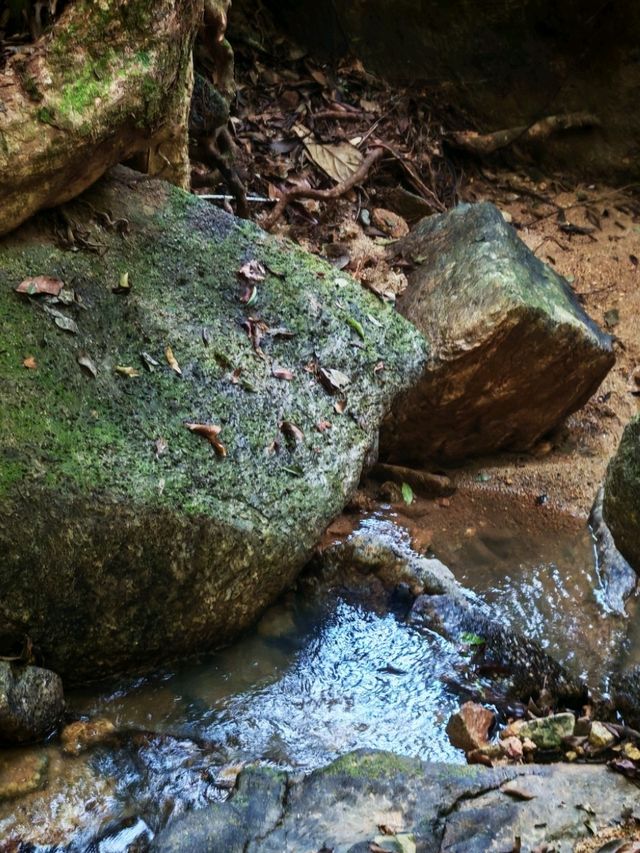 ⛰️ Bukit Kledang, Perak – Choose Your Trail, Choose Your Challenge!