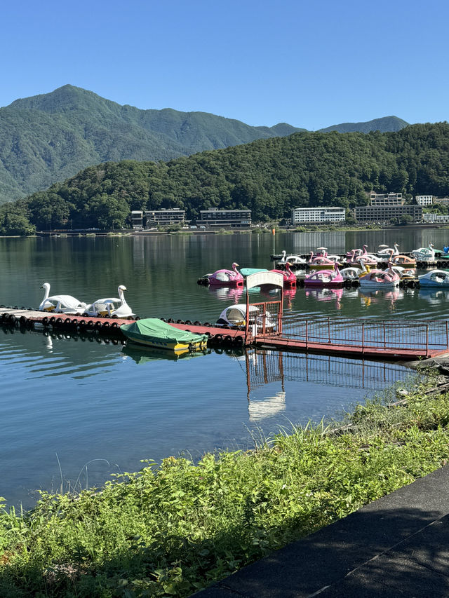 🗻🌸 2D1N Mount Fuji | Chill Escape to Kawaguchiko