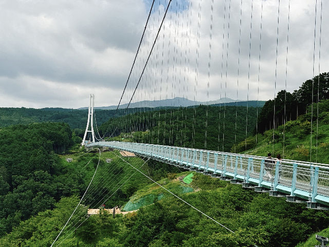 Mishima Skywalk: A Cloudy View from Japan's Longest Suspension Bridge ☁️🚶‍♀️