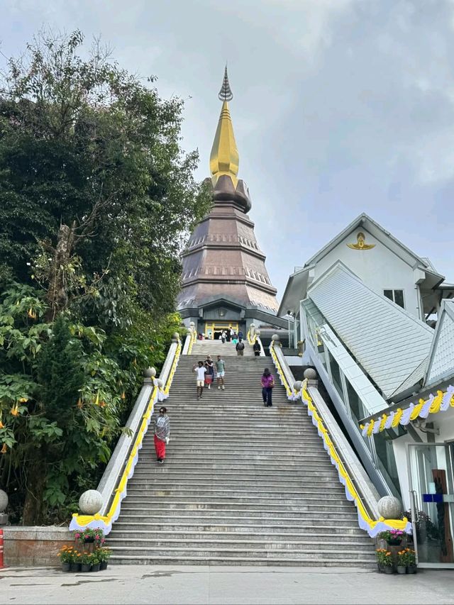 Doi Inthanon’s a Dreamy Escape