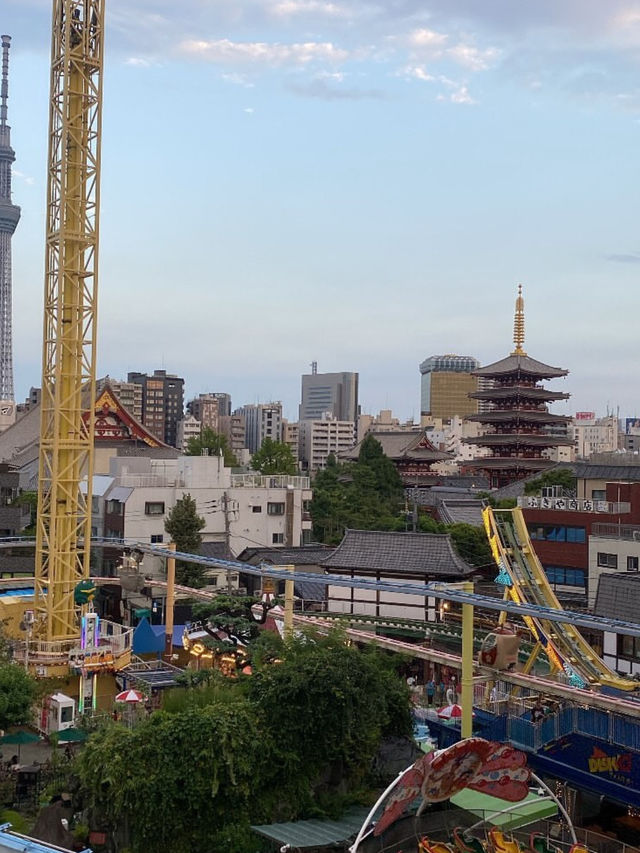 東京 浅草花やしき 🎠🌸