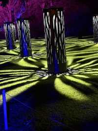 ✨ Magical Night at the Royal Botanic Gardens Melbourne 🌿🌌