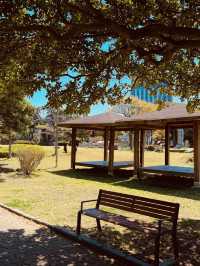A Peaceful Local Green Space for Relaxation