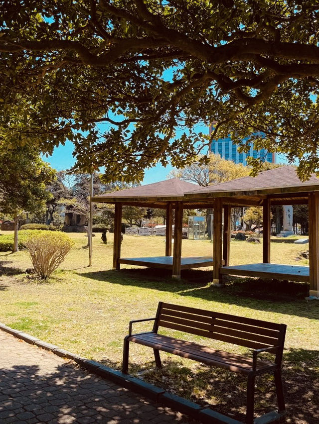 A Peaceful Local Green Space for Relaxation