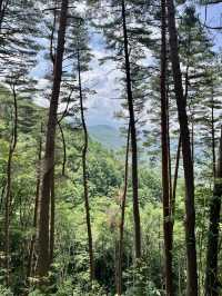 Torri trail 