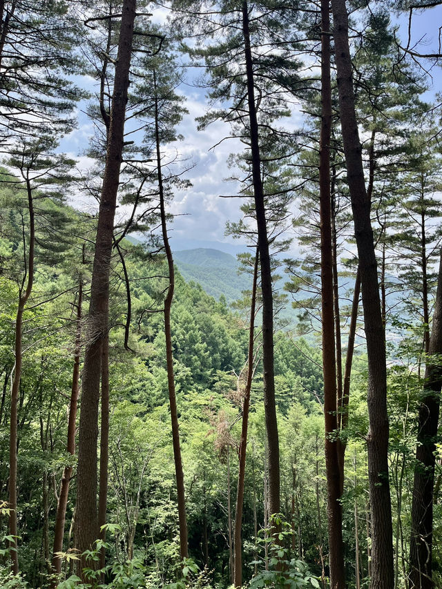 Torri trail 