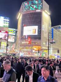 🌆 Tokyo in 3 Iconic Stops: Skyline, Loyalty & Organized Chaos 🐶✨