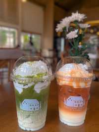 คาเฟ่ ราชบุรี ที่มีมะกอกโอลีฟ ถึงสองต้น