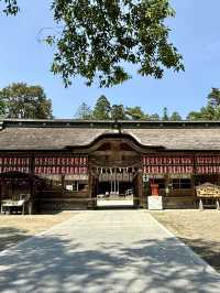 仙台｜国宝 大崎八幡宮