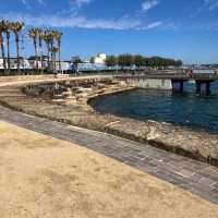 Barangaroo Reserve & Aboriginal Walking Tours