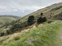 Stunning views of Lyttelton Harbour, the volcanic peaks and ridges of Banks Peninsula
