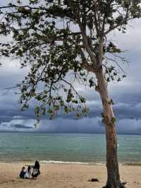 🌧️⛈️ Storm Incoming at the Beach – Nature’s Raw Beauty!