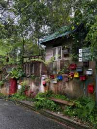 Above the City, Beneath the Trees: Explore The Habitat Penang Hill!