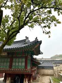 Rainy day of Changdeokgung Palace 