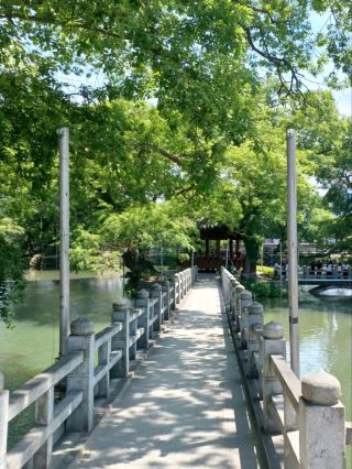 Mujinjeong: A Serene Family Walking Spot