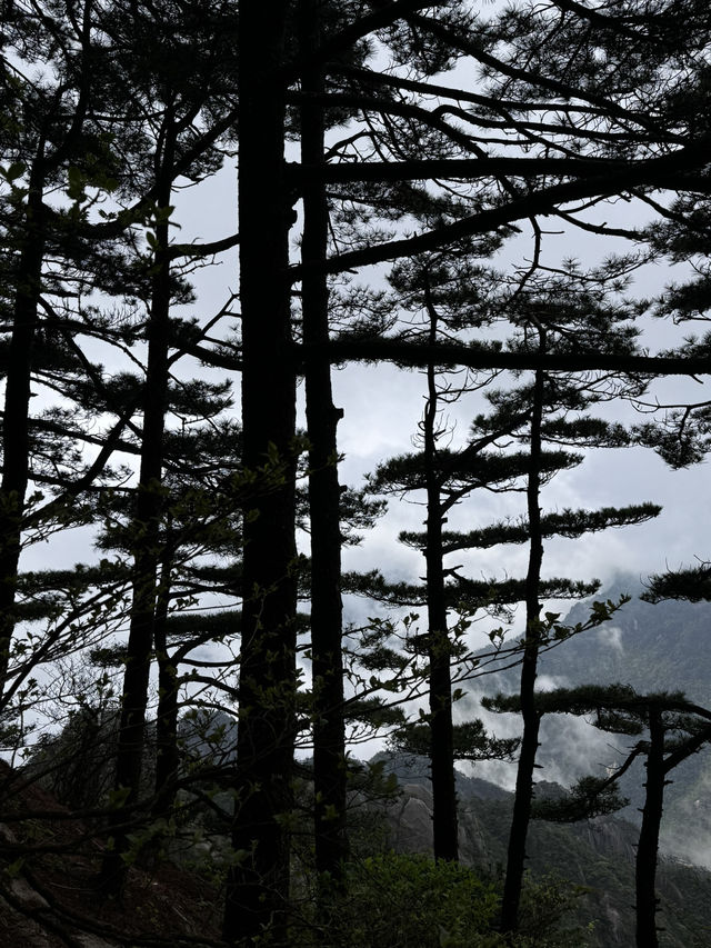 黃山