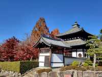 京都紅葉名勝：東福寺