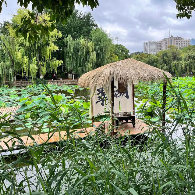 🌿 A Peaceful Escape in Kunming: Green Lake Park (翠湖) 🌿