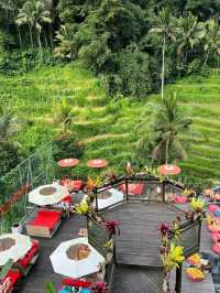  Emerald Steps & Morning Magic: Tegalalang Rice Terrace