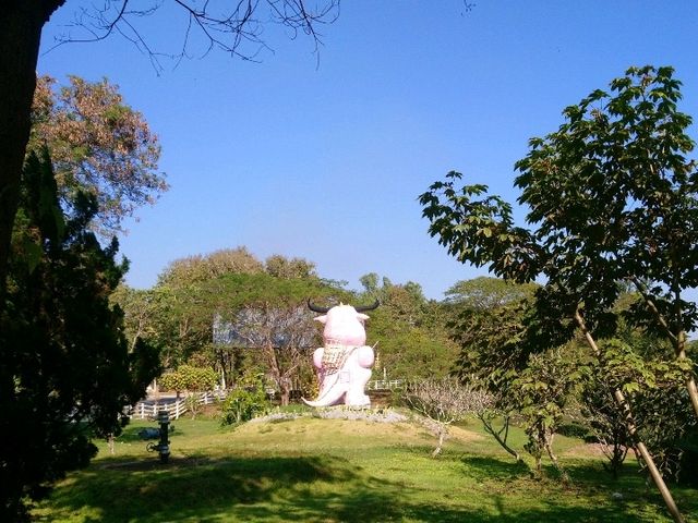 เที่ยว..น้ำพุร้อนป่าตึง