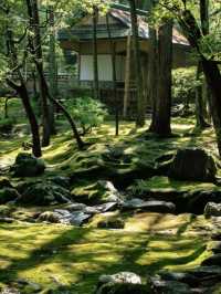 京都必去景點（四）🌿西芳寺の絕美苔蘚王國🌿