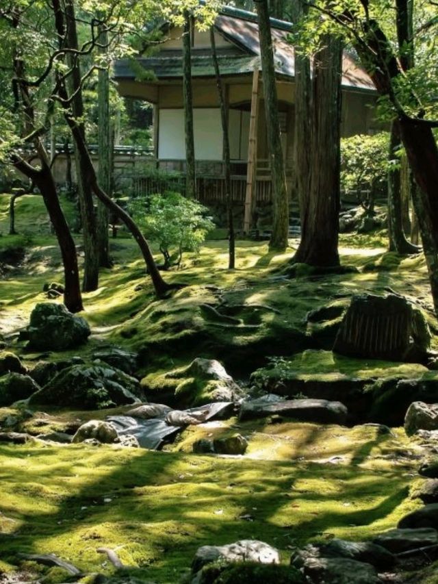 京都必去景點（四）🌿西芳寺の絕美苔蘚王國🌿