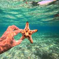 Bunaken Marine Park, North Sulawesi