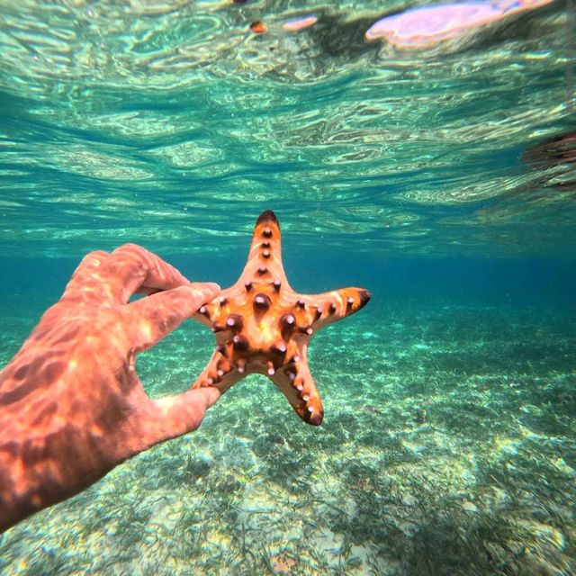 Bunaken Marine Park, North Sulawesi