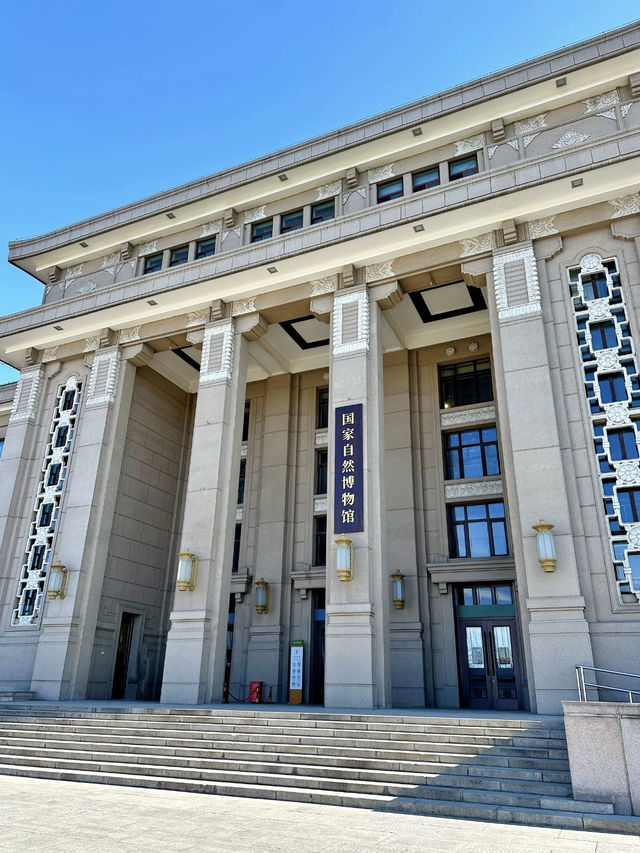 Tianjin Natural History Museum 🦖🏞️