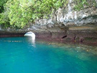 Palau Travel: Island Adventures, Snorkeling, and Coral Tours
