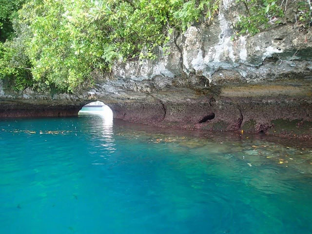 帛琉之旅 海島旅遊 浮潛 珊瑚巡禮