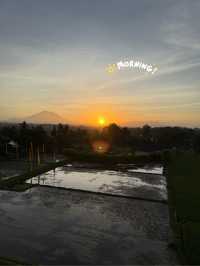 Sunrise above rice fields, my hotair balloon experience 