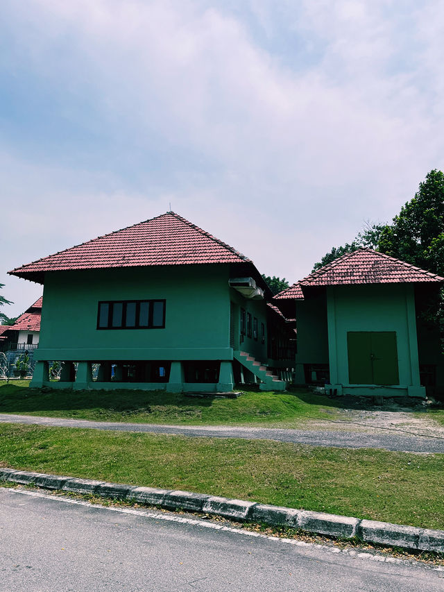 Into the Wild: First Impressions at Paya Indah Wetlands