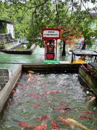 Mountain Coffee @ Zoo ระยอง