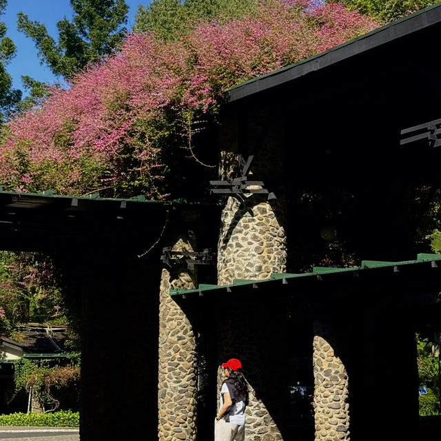 Morning Walk at ITB: Serenity in Bandung