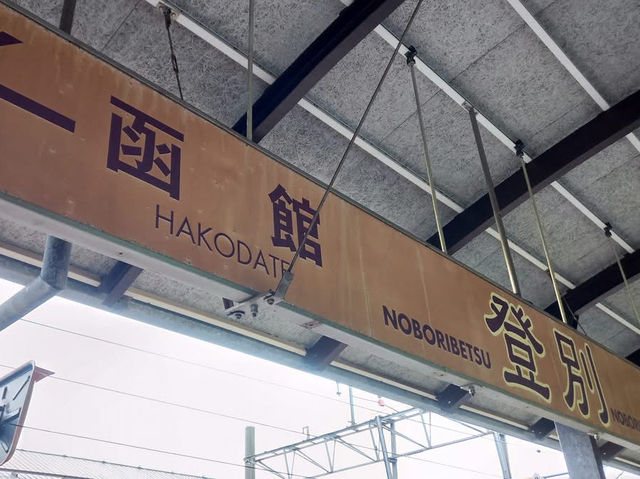 北海道鐵路旅行 JR北斗特急體驗