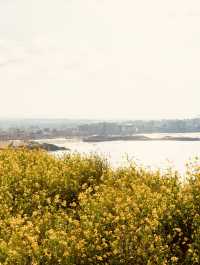 A Glimpse into Jeju's Defensive Heritage