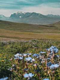 ปากีสถาน เหนือ