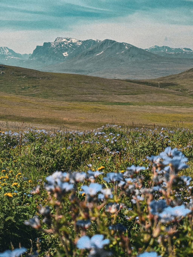 ปากีสถาน เหนือ ปากีสถาน เหนือ