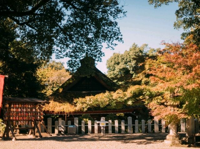 Shorinzan Daruma Temple