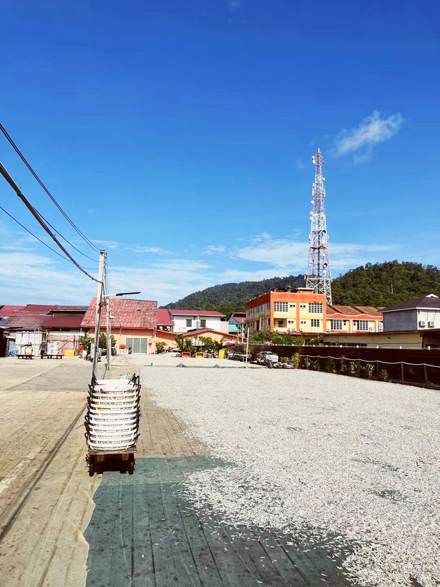 🌴 Pangkor in a Day: Culture, Beaches & Island Vibes