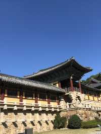 🏯 천년의 숨결을 따라 걷다, 경주 불국사 