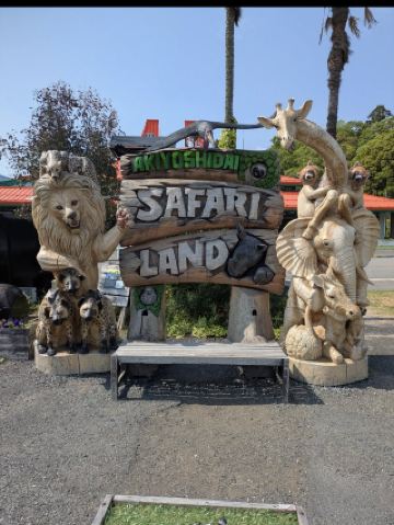 🦁Akiyoshidai Safari Land | Get up close and personal with the animals! A thrilling safari experience