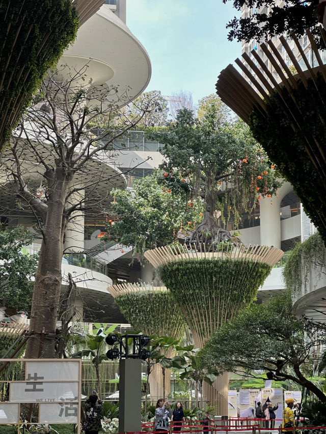 Discovering Nature at Vanke Mall in Bantian, Shenzhen 🇨🇳