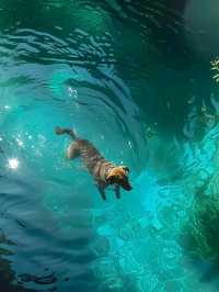 Crystal Lakes and Living Legends: The Magic of Jiuzhaigou