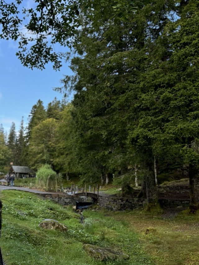 플뢰엔산 전망대 (Mount Fløyen / Fløyfjellet)