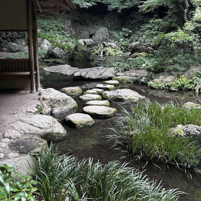【東京/駒込🇯🇵】四季折々の幽玄なる美の世界✨六義園