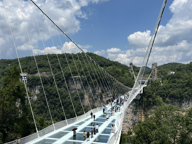 From Skyscrapers to Sky Pillars✨: A Journey Through Chongqing🌆 & Zhangjiajie 🏞️