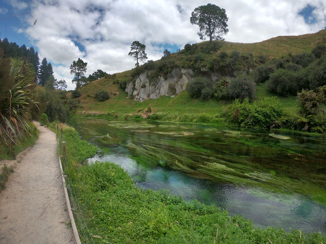 📍紐西蘭北島。Putaruru Blue Springs｜藍得像夢的一條河